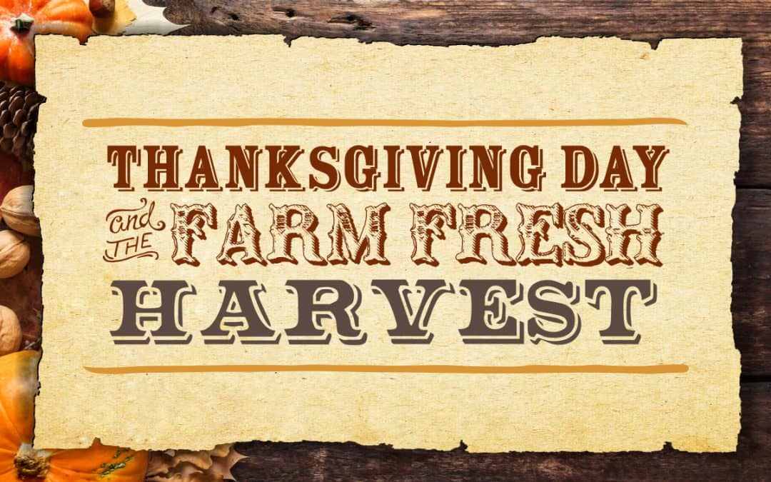 Celebrate Thanksgiving Day at Five Oaks Farm Kitchen