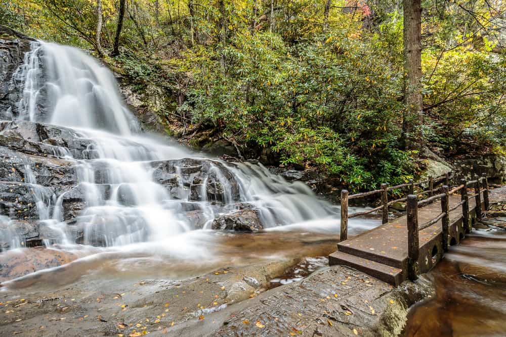 5 Spots to Go Hiking in the Smoky Mountains After Eating With Us